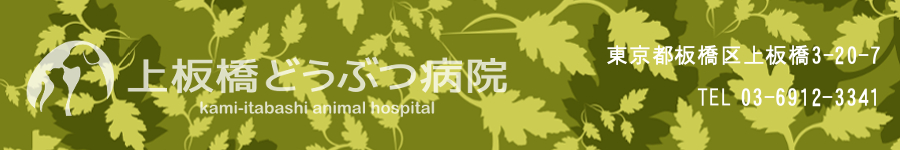 ����ǂ��Ԃa�@�E�t�b�^�[