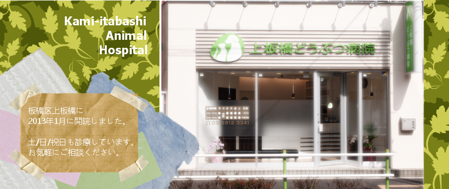 �����a�@�E�^�C�g��